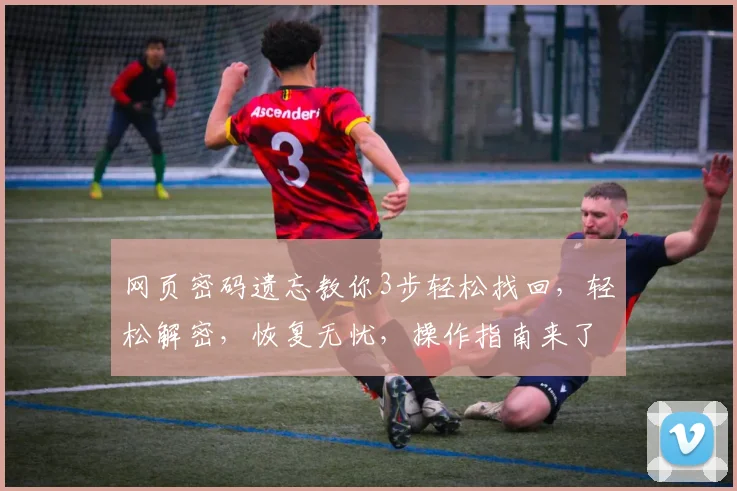 网页密码遗忘教你3步轻松找回，轻松解密，恢复无忧，操作指南来了，快速上手