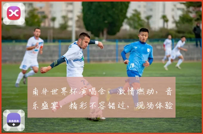 南非世界杯演唱会，激情燃动，音乐盛宴，精彩不容错过，现场体验一触即发