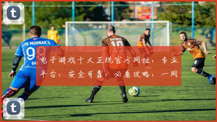 电子游戏十大正规官方网址，专业平台，安全可靠，必看攻略，一网打尽