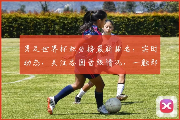 男足世界杯积分榜最新排名，实时动态，关注各国晋级情况，一触即达