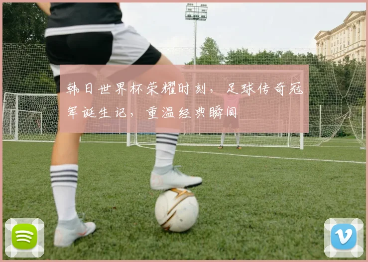 韩日世界杯荣耀时刻，足球传奇冠军诞生记，重温经典瞬间