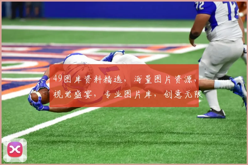 49图库资料精选，海量图片资源，视觉盛宴，专业图片库，创意无限，轻松下载