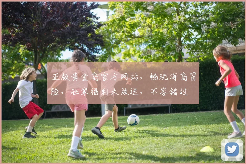 正版黄金岛官方网站，畅玩海岛冒险，独家福利大放送，不容错过